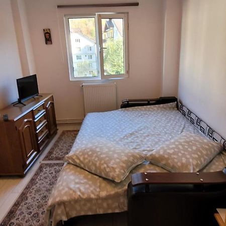 Patricia Apartment シナヤ エクステリア 写真