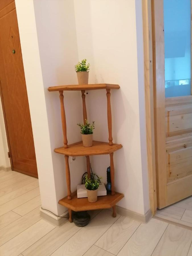 Patricia Apartment シナヤ エクステリア 写真